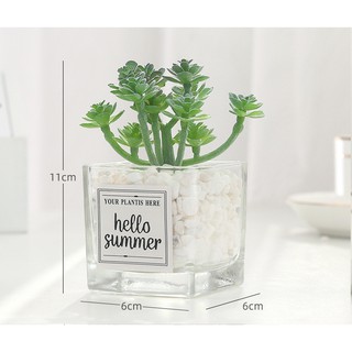 Chậu cây hoa giả Hello Summer 12x6x6cm - Hoa đá nhiều nhánh