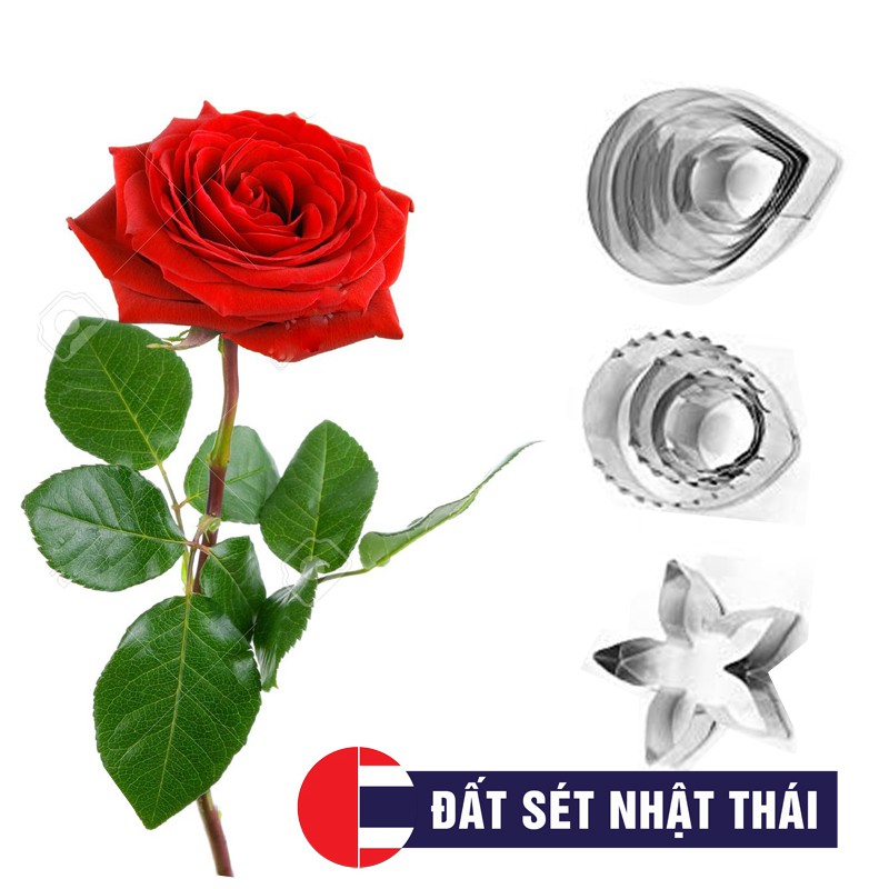 KHUÔN CẮT HOA HỒNG ĐẤT SÉT TRỌN BỘ HOA, LÁ, ĐÀI LÀM HOA ĐẤT, HOA ĐƯỜNG, XÔI HOA ĐẬU, HOA BÁNH KEM, RAU CÂU