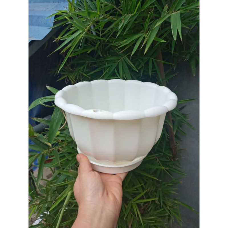 10 chậu tròn đẹp phi 22cm x15cm kèm đĩa