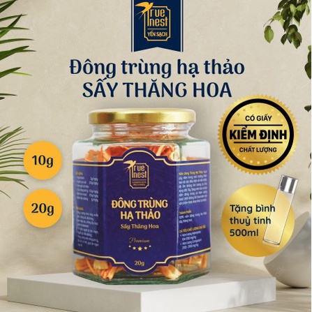 Nấm Đông Trùng Hạ Thảo hộp 10g Cao Cấp Sấy Khô Chống Lão Hóa Đẹp Da Tăng Miễn Dịch