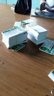 Chè vằng túi lọc lục quân