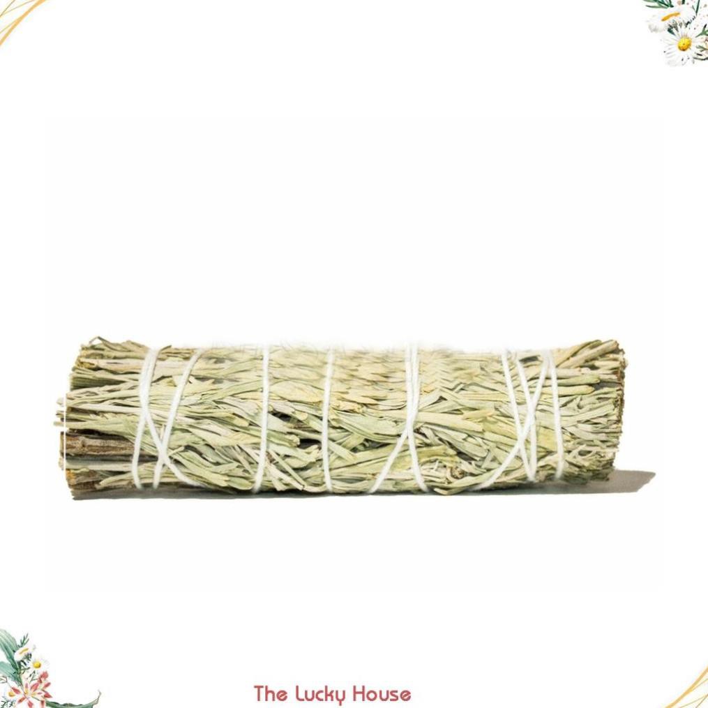 Bó lá xô thơm xanh Blue Sage Smudge Incense 4"-5" Bundle - Chiêu Tài hút Lộc và thanh tẩy không gian