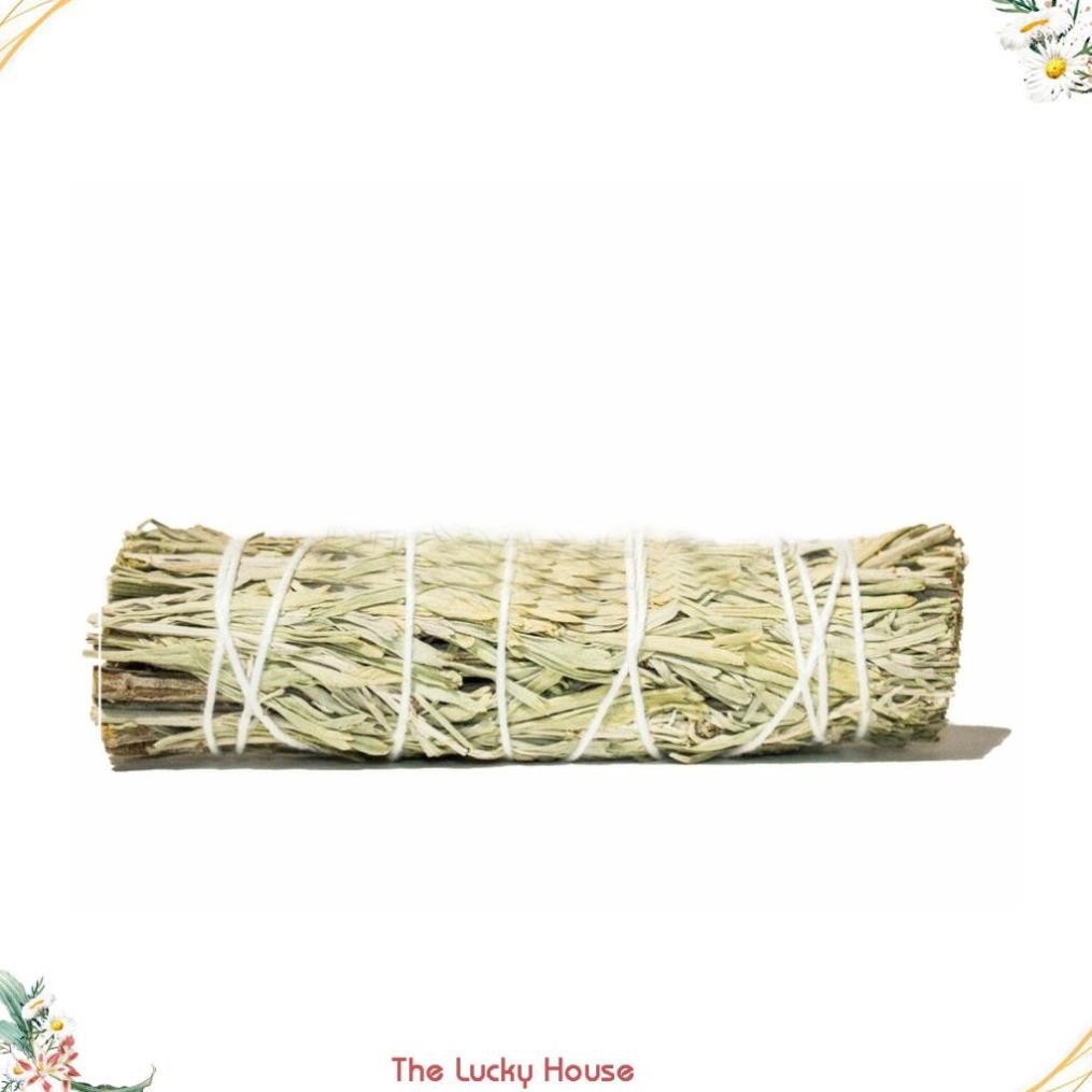 Bó lá xô thơm xanh Blue Sage Smudge Incense 4"-5" Bundle