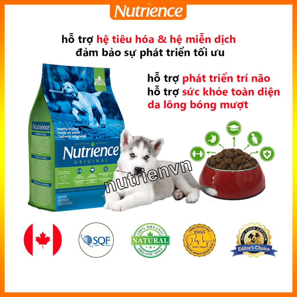 Thức Ăn Cho Chó Alaska Con - Nutrience Original Bao 500g - Thịt Gà, Rau Củ Và Trái Cây Tự Nhiên