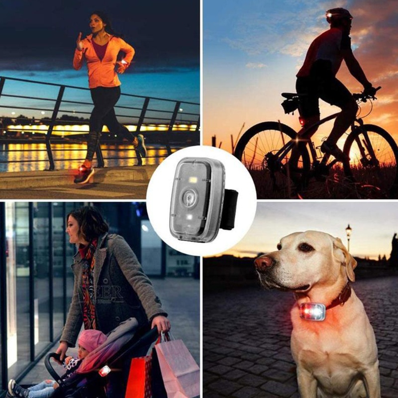 Đèn LED Nhấp Nháy Cảnh Báo An Toàn Cho Thú Cưng Đi Bộ