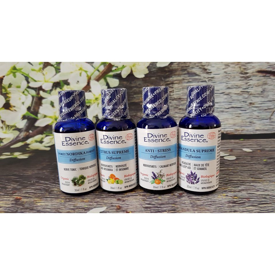 Tinh dầu hỗn hợp Divine Essence 15ml | BigBuy360 - bigbuy360.vn