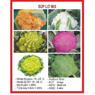 Hạt giống súp lơ mix -1 gói 20 hạt - hgt1
