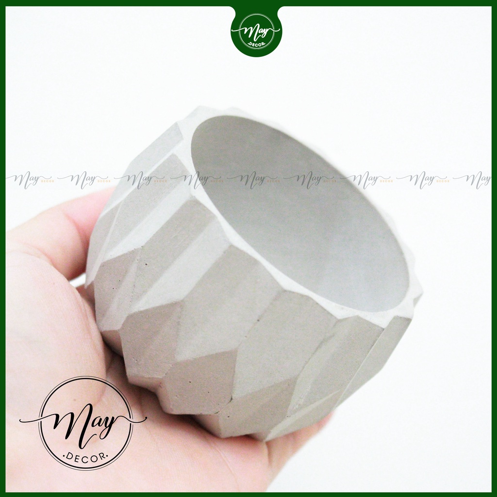 Cây thật, Chậu xi măng, xương rồng tai thỏ mini