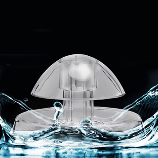 Bẫy Ốc Hại Trong Bể Cá Thuỷ Sinh