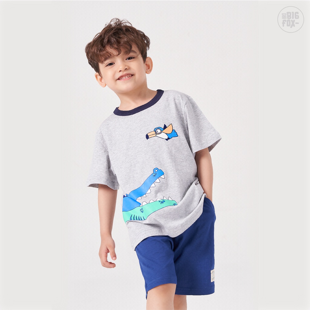 Áo bé trai cộc tay BIGFOX - MISS MEOW, áo phông cho bé mặc mùa hè chất liệu cotton size 3,4,5,6,7,8 tuổi QATE 03