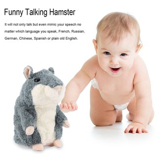 Chuột Hamster Nhại Tiếng