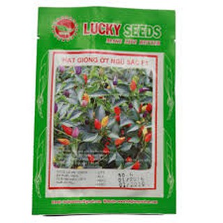 Hạt giống ót ngũ sắc