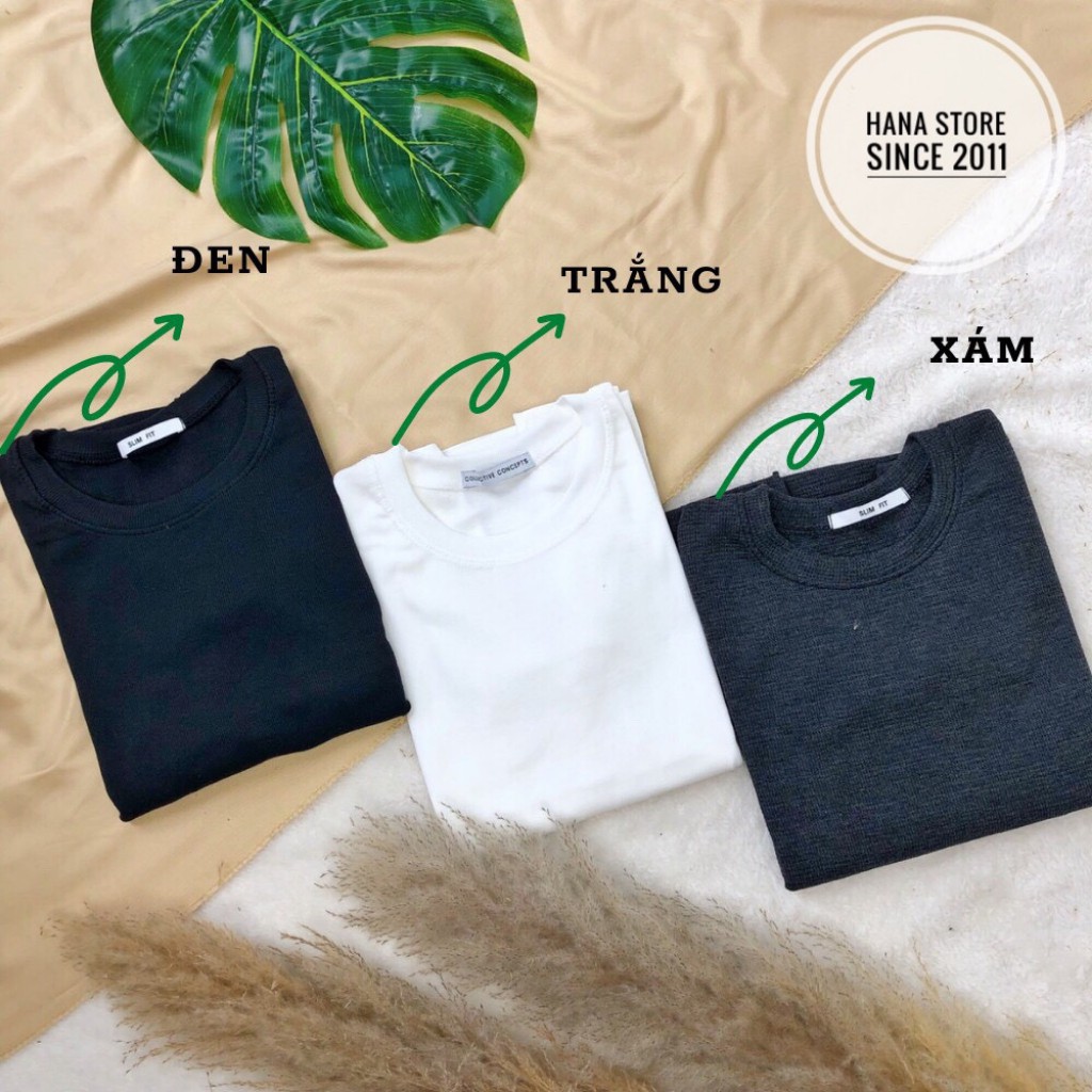 Áo thun trơn dài tay cổ tròn dáng ôm dễ mix đồ | BigBuy360 - bigbuy360.vn