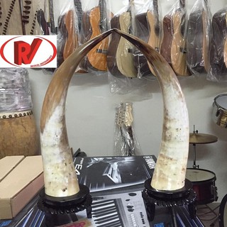Bán sừng trâu mỹ nghệ – Phong Vân