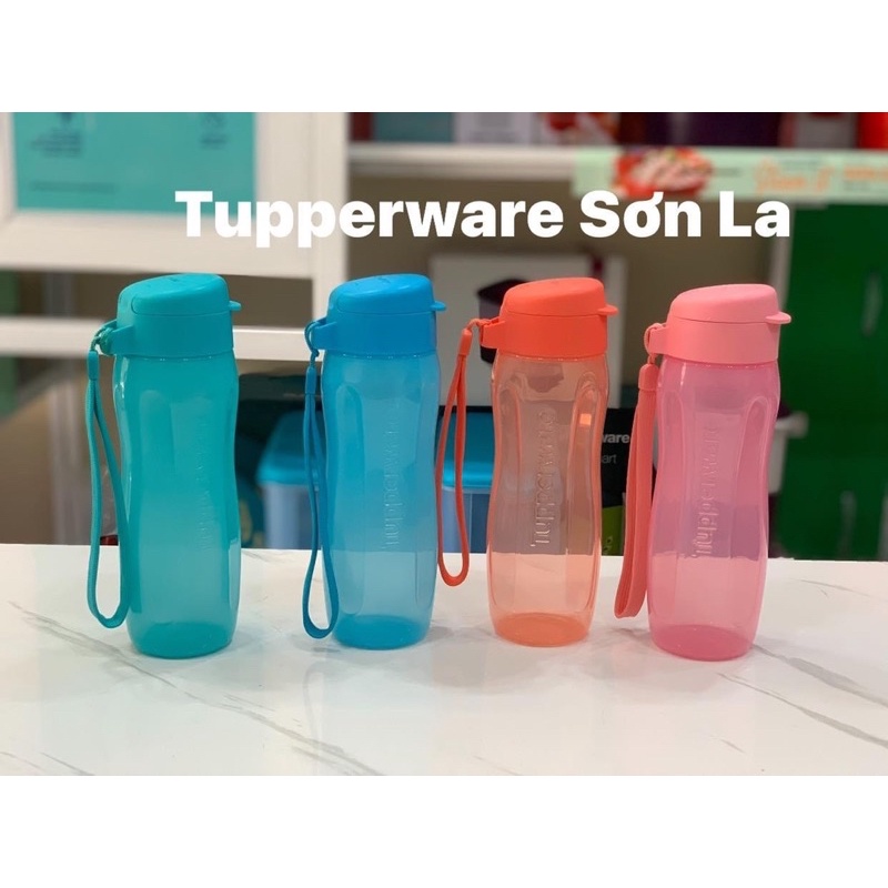 Bình nước eco bottle gen 2 500ml