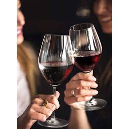 Bộ 6 Ly Vang Đỏ, Vang Trắng Thủy Tinh Santé Red Wine Ocean – 1026R15 – 420ml