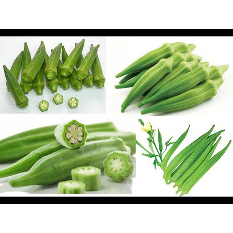 Hạt Giống Đậu Bắp Xanh Cao Sản Sinh Trưởng Mạnh, Chống Chịu Tốt Với Sâu Bệnh, Năng Suất Cao