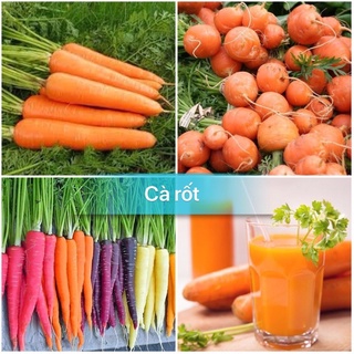 Hạt giống cà rốt cao sản, tặng kèm phân bón kích mầm