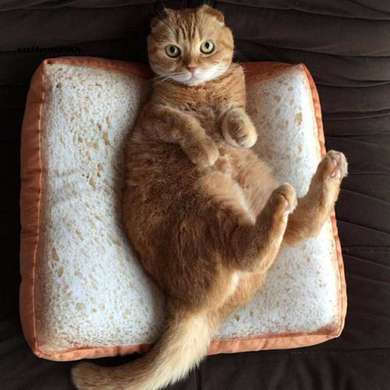 Nệm hình bánh mì cho thú cưng