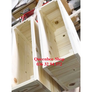 Chậu gỗ trồng cây (không chân) I Decor, tiểu cảnh