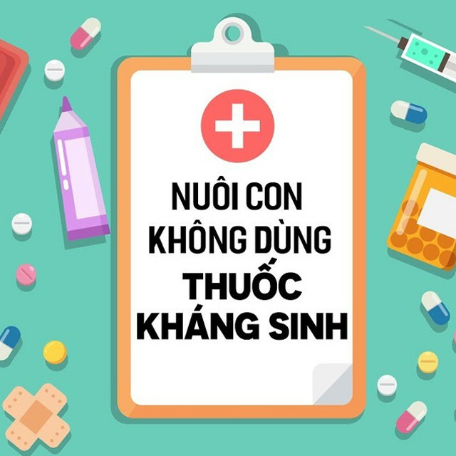 Toàn quốc- [E-voucher] FULL khóa học Nuôi con không dùng thuốc kháng sinh