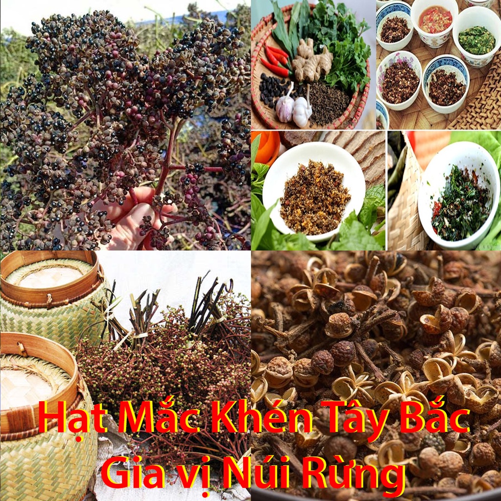 Gói 50g -100g - 300g Mắc Khén Khô gia vị Tây Bắc dùng để ướm đồ ăn, nước chấm đi rừng