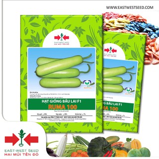 BỘ 2 GÓI 20 HẠT BẦU RUMA 100 CỦA EAST-WEST SEED (HAI MŨI TÊN ĐỎ)