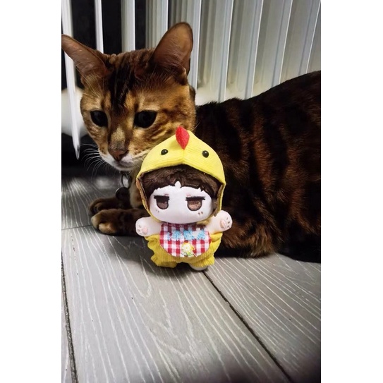 Outfit 10cm Cục Tác Chú Gà Con Đáng Yêu