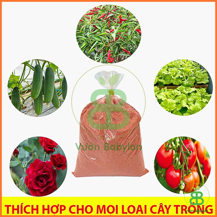 Phân Bón Siêu KaLi 1Kg