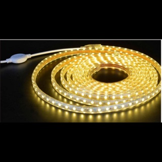 Bộ 10m led cùng zắc 220v