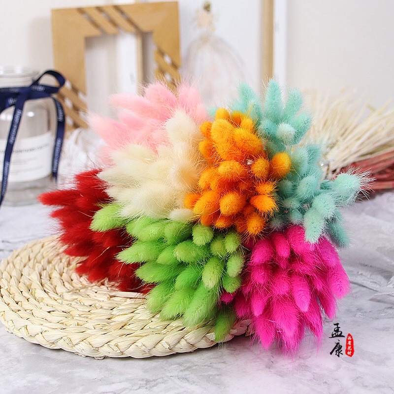 Cỏ đuôi thỏ khô đủ màu - hoa khô decor