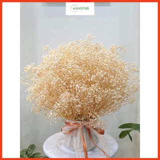 (100g) Hoa khô, hoa baby bloom trang trí phong cách Retro, Vintage