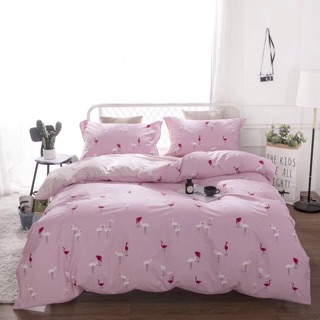 Set chăn ga gối cotton Hàn Quốc