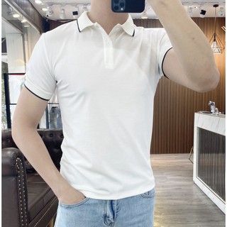 Áo polo nam đẹp trơn áo phông thun chất cotton đẹp có cổ hàng cao cấp nhiều màu IMME AT02