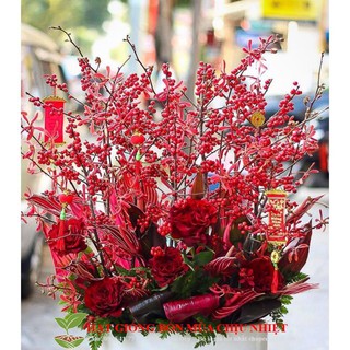 Hạt giống hoa đông đào đỏ - chưng tết đến mùa trồng tết