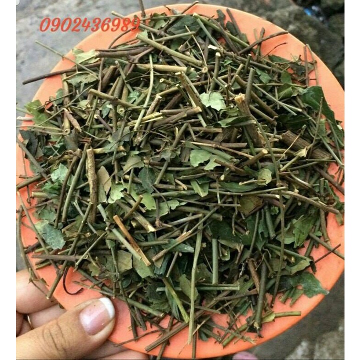 CHÈ LÁ VẰNG SẺ KHÔ LỢI SỮA GIẢM CÂN TỐT CHO PHỤ NỮ