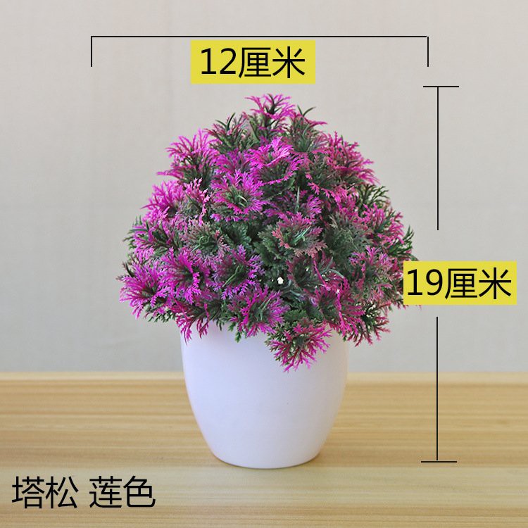 Tùng bồng lai để bàn tượng trưng cho sức khỏe bền bỉ, thịnh vượng tài lộc, cây bonsai trang trí nhà cửa