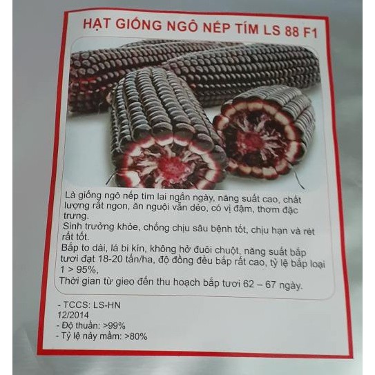 COMBO 3 gói hạt giống ngô tím ngọt F1 - 1 gói 10gr - HGT