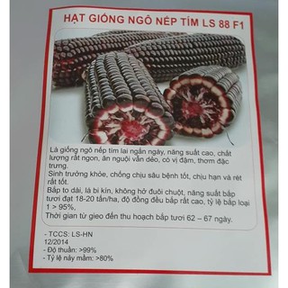 Hạt giống ngô nếp tím lai f1 - gói 30 hạt