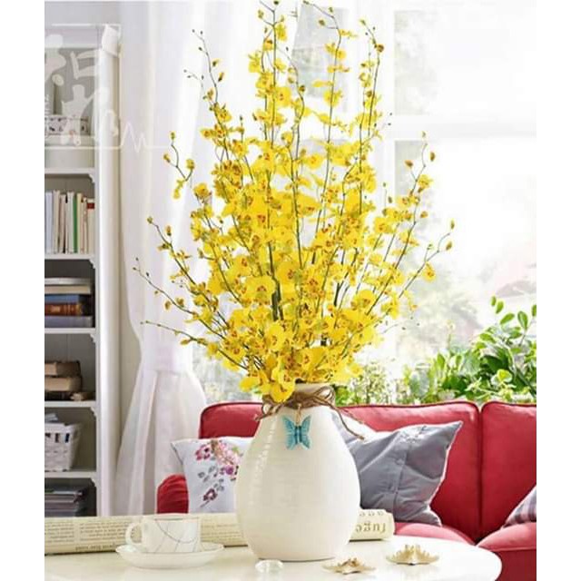 Hoa lan vũ nữ Đài Loan