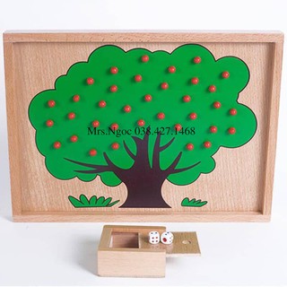 Giáo cụ Montessori – Cây táo học toán