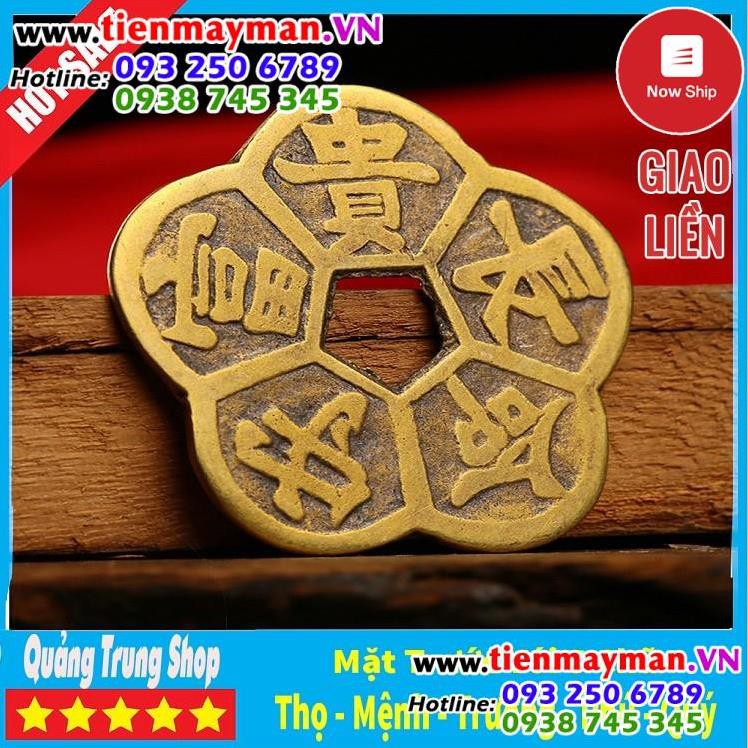 Đồng Tiền Hoa Mai ⭐FREESHIP⭐ Kim Tiền Tài Lộc | BigBuy360 - bigbuy360.vn