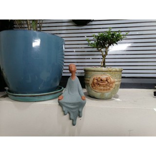 Bon sai sam hương 10- 15cm