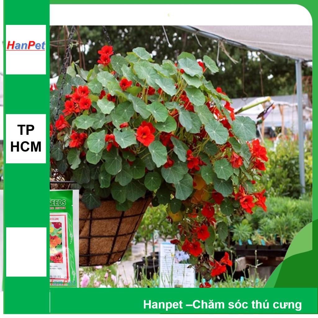 HCM-(HOA TRONG NHÀ) Hạt giống Hoa sen cạn (loại trồng trên cạn nhiều màu) Combo 15 hạt đủ màu -phù hợp khí hậu