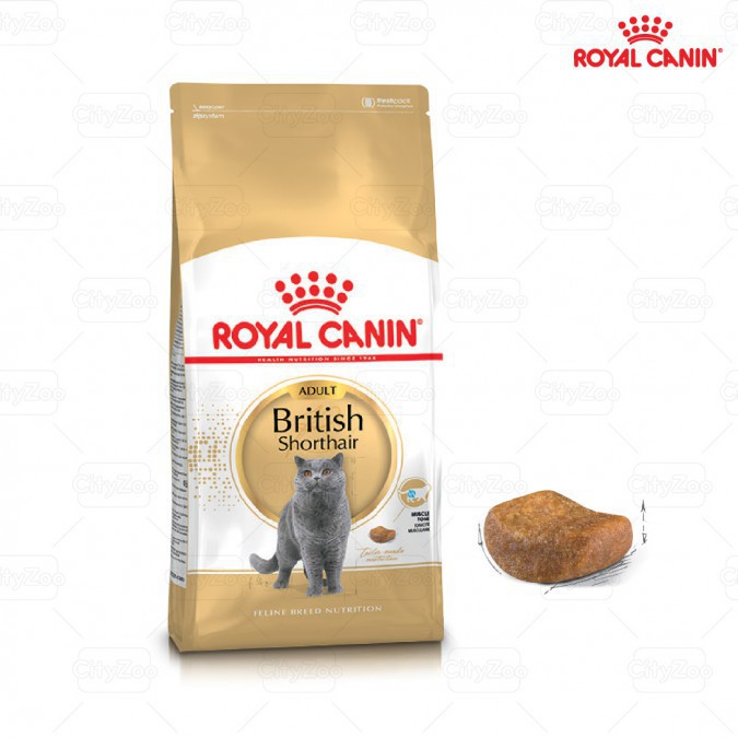 Royal Canin British Shorthair Adult 2kg hạt khô thức ăn cho mèo anh lông ngắn lớn hơn 12 tháng tuổi sản xuất tại pháp