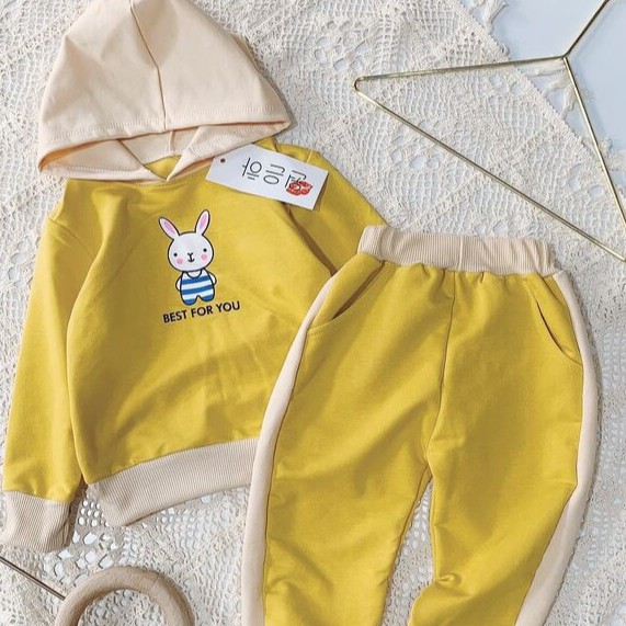 [Mã FARSBR242 giảm 15% đơn 99K] Bộ Quần Áo Nỉ Cotton Dài Tay In Hình Thỏ Cho Bé [BTD01] - Babi mama