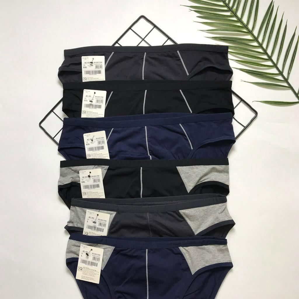 Quần sịp nam tam giác aristino cạp nhỏ cotton mềm mát  AC01
