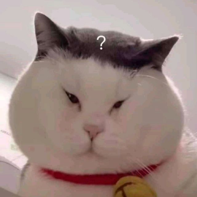anhminh11