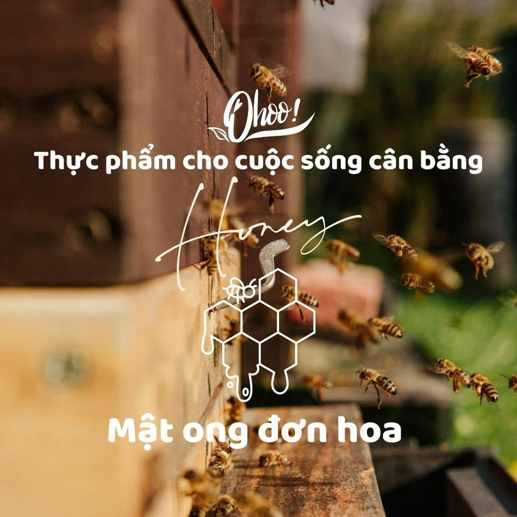 [MÃU DÙNG THỬ] Mật Ong Nguyên Chất 100ml Ohoo, Ong Làm Mật Từ Hoa Nhãn - Cà Phê - Vải