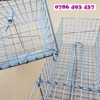5 Lồng Bẫy Chuột cống nhum, ba lông, chuột đất